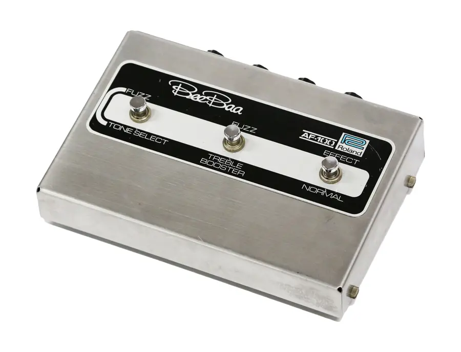 Roland AF-100 BeeBaa - What To Know & Where To Buy | Equipboard