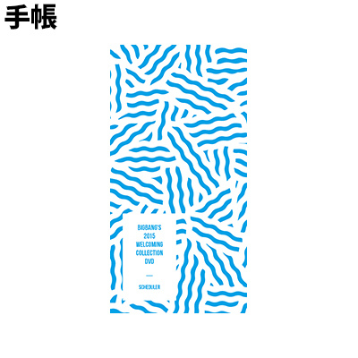 BIGBANG'S 2015 WELCOMING COLLECTION DVD｜BIGBANG｜mu-moショップ