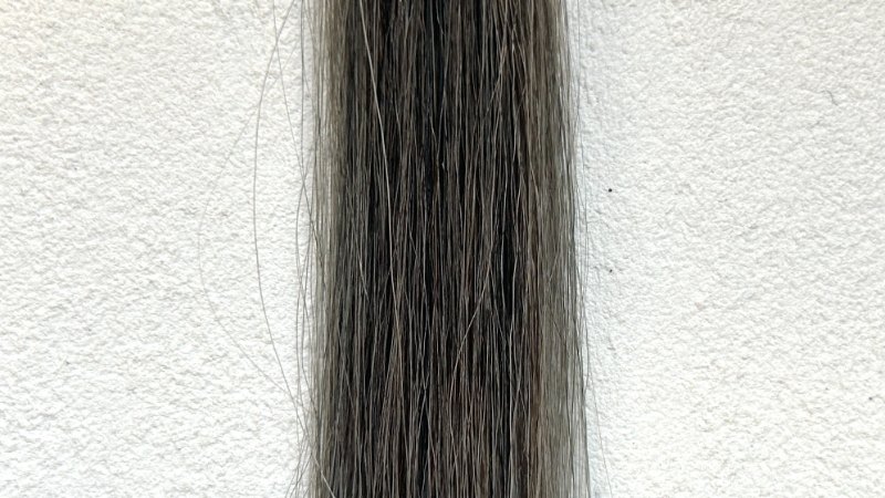 悪い口コミ・評判は嘘？クローシアリッチクリームシャンプーを白髪