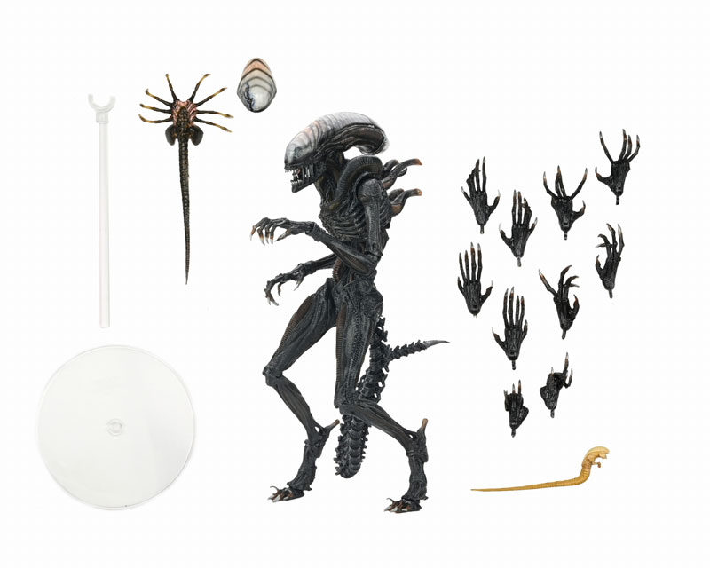 AmiAmi [Character & Hobby Shop] | Alien: Romulus / Scorched