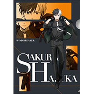 TVアニメ『WIND BREAKER』 クリアファイル 4.蘇枋隼飛[エンスカイ