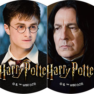 ハリーポッター トレーディング缶バッジ1 ハリーポッターと賢者の石 10