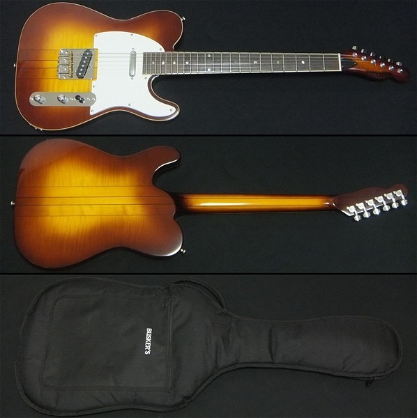 はちわれ様用絶版プレテクTL700deluxeテレキャスタイプ スルーネック