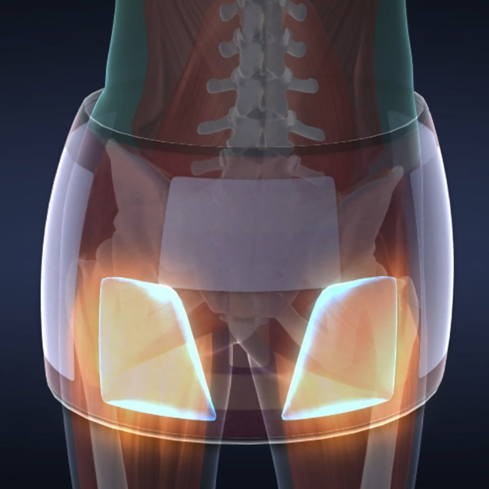 芦屋美整体 骨盤エアーリセットベルト 通販 - ディノス