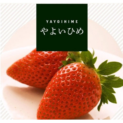 園芸ネット本店｜イチゴ（一季なり）：やよいひめ4号ポット の通販【公式】