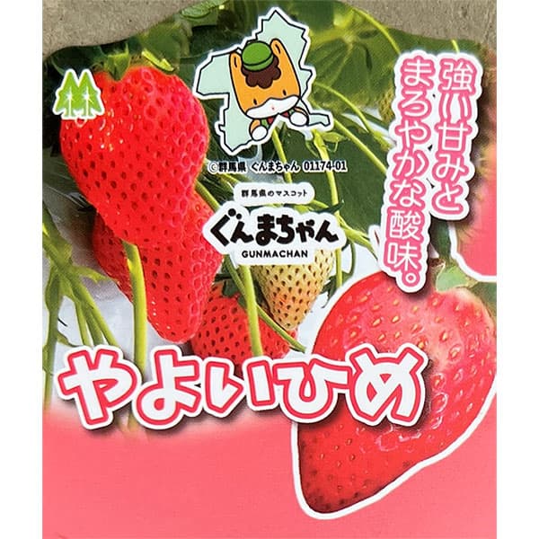 園芸ネット本店｜イチゴ（一季なり）：やよいひめ4号ポット の通販【公式】