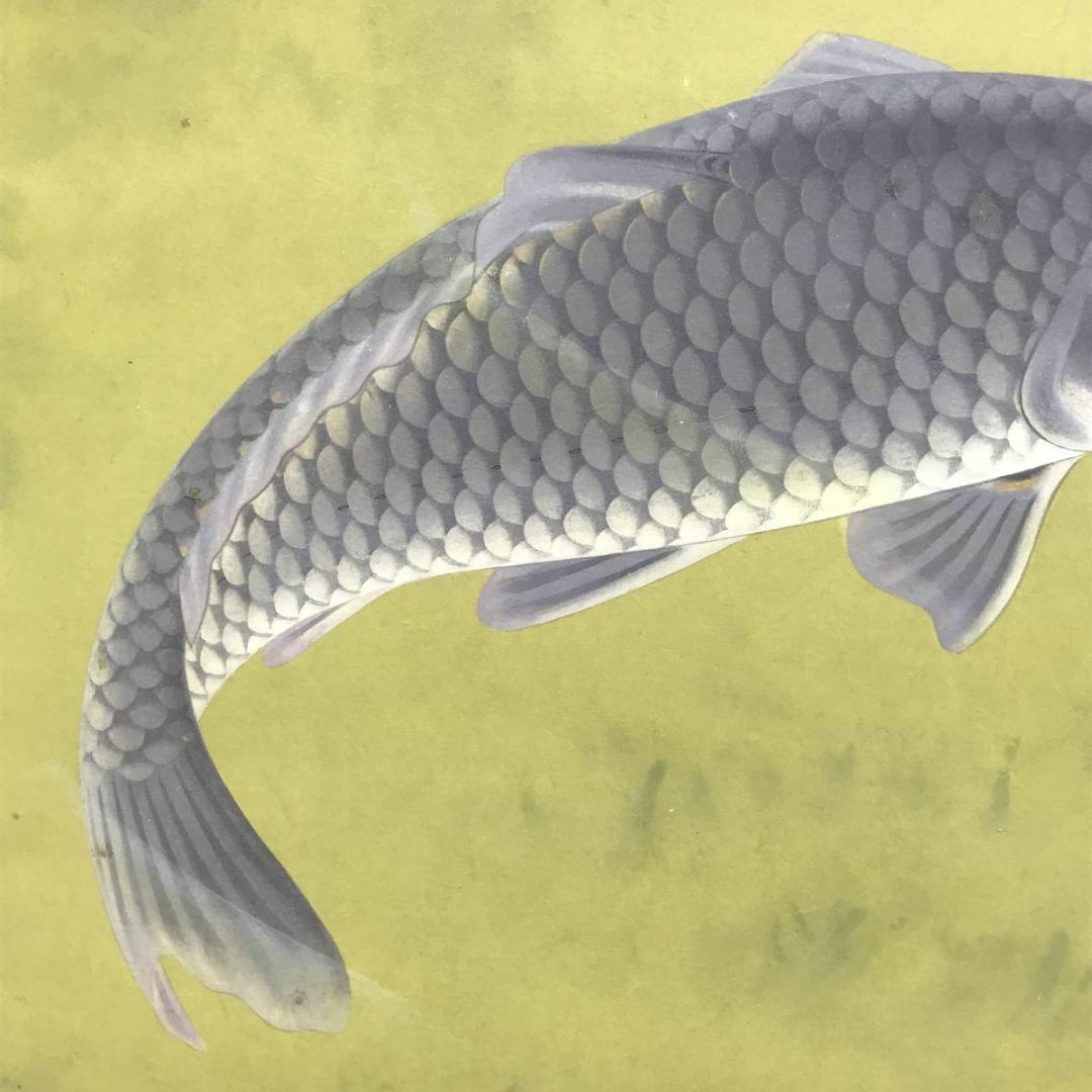 真作/田之口青晃/鯉図/遊鯉図/コイ図/横物/掛軸☆宝船☆AD-728の通販