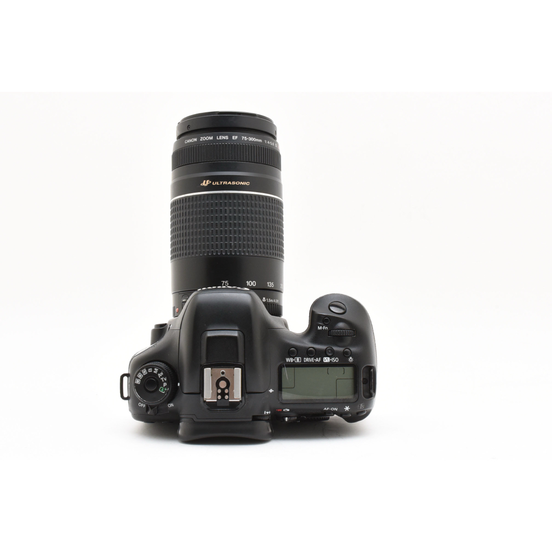 Canon EOS 7D MarkⅡ望遠レンズセットCanon EF75-300 Canon EOS 7D