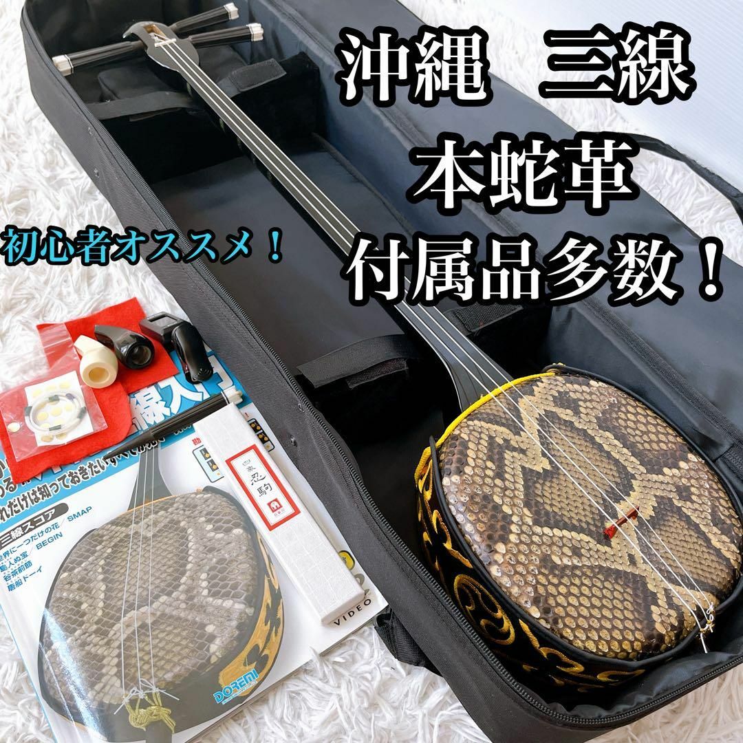 超美品】沖縄三線 ヘビ革 セミハードケース 本蛇革 教本セット