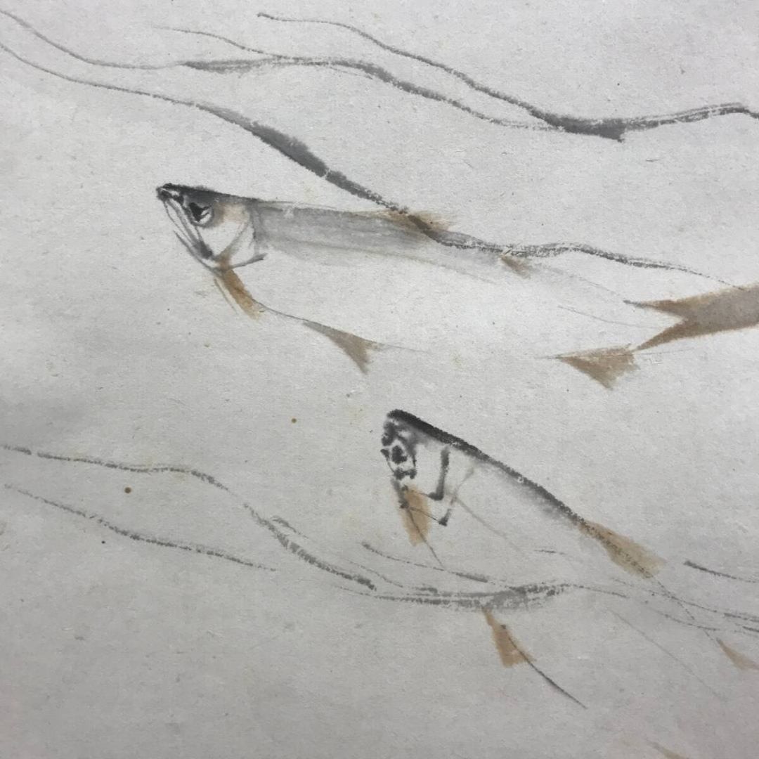 真作/藤井松山/鮎図/アユ図/清流魚図/初夏の掛軸/掛軸☆