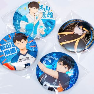 ハイキュー!!】青葉城西高校 #1 岩泉一【アクリルスタンド】④の通販