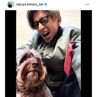 STANDARD CALIFORNIA - HTC Belt ターコイズ スタッズベルト 中古 木村