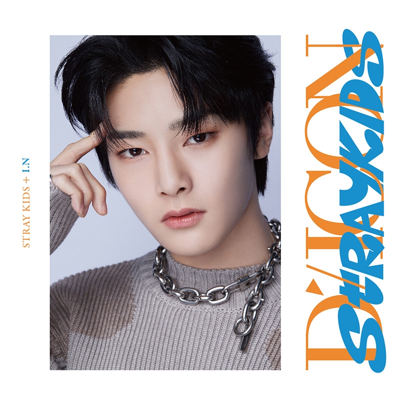 DICON D'FESTA MINI EDITION STRAY KIDS I.N《全額内金》 : Stray Kids