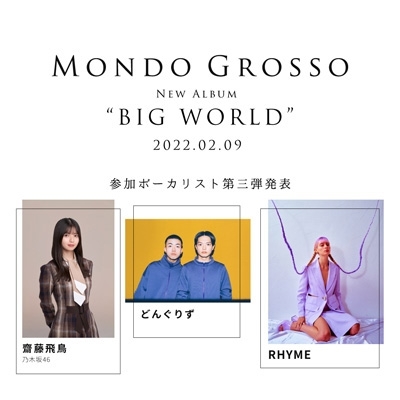 BIG WORLD : MONDO GROSSO | HMV&BOOKS online - RZCB-87061