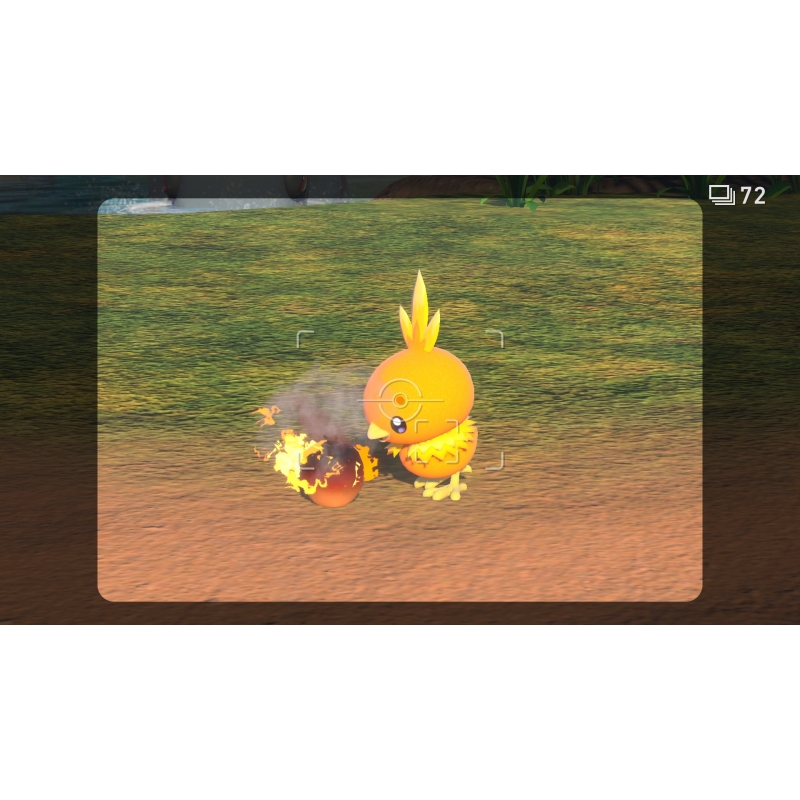 New ポケモンスナップ≪Loppi・HMV限定特典 ミニクリアファイル付き