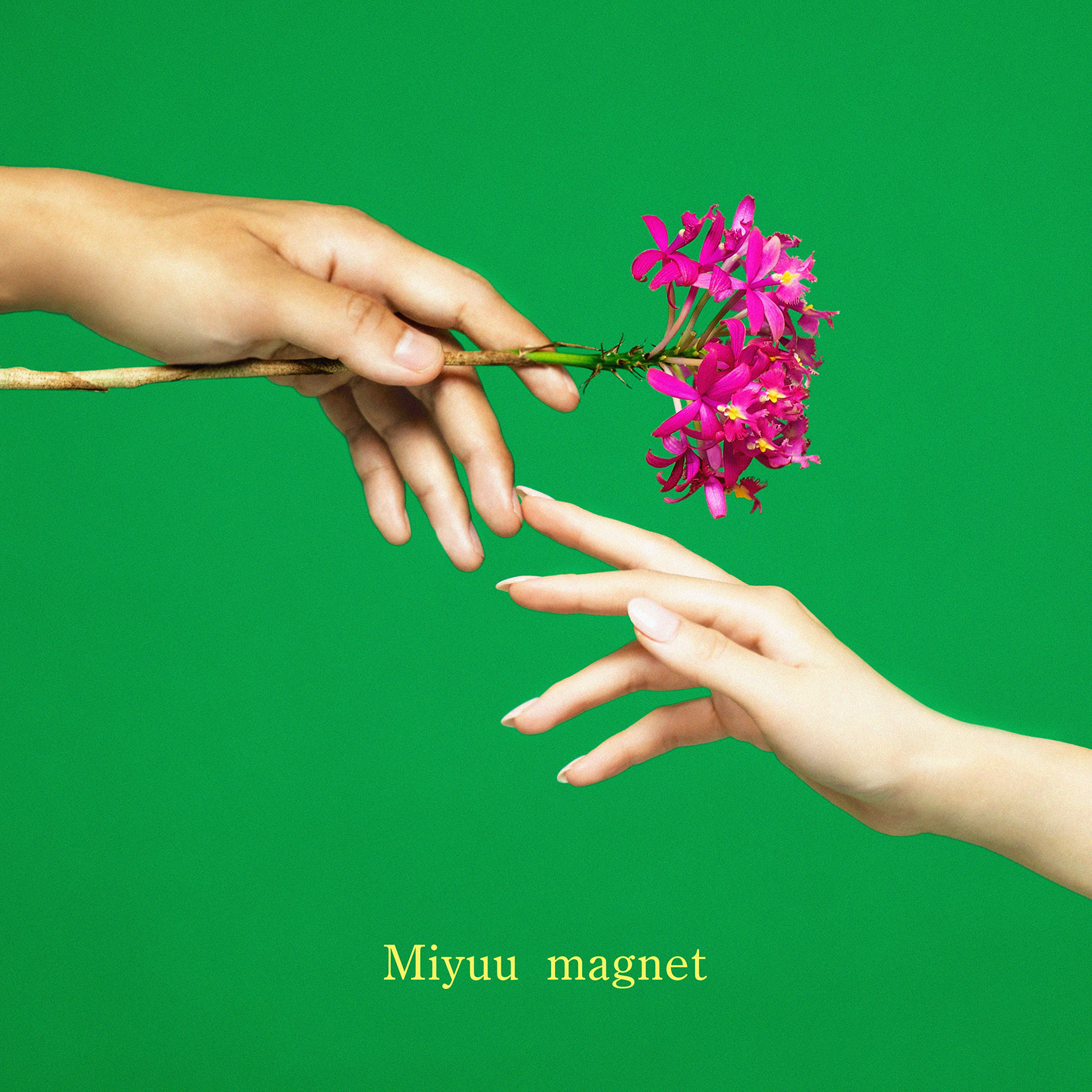magnet | ディスコグラフィー | Miyuu | アーティスト・作品