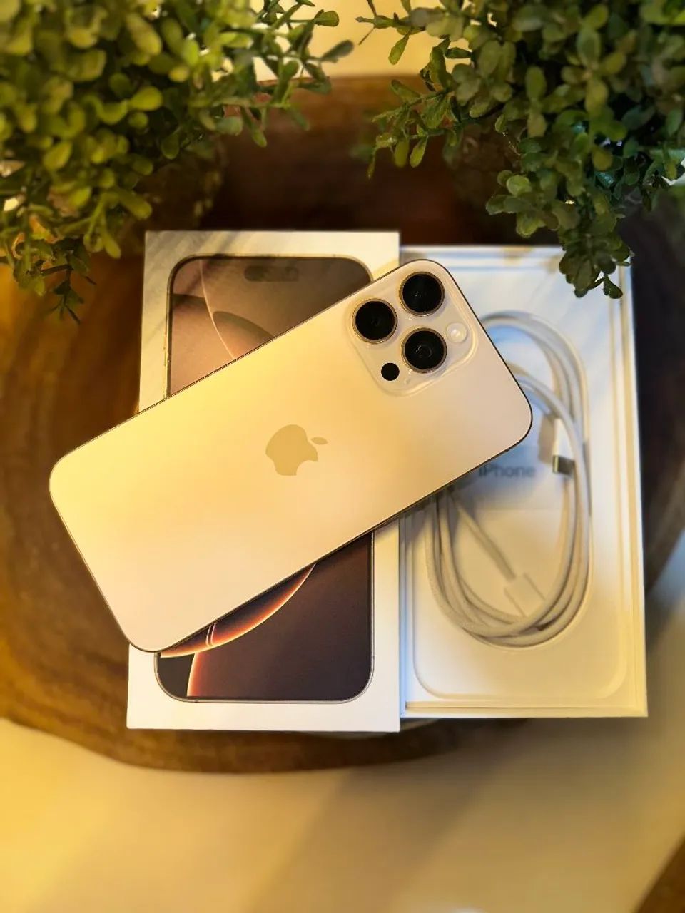 Iphone 16 Pro Max 256gb Bateria 100% Com Garantia Apple