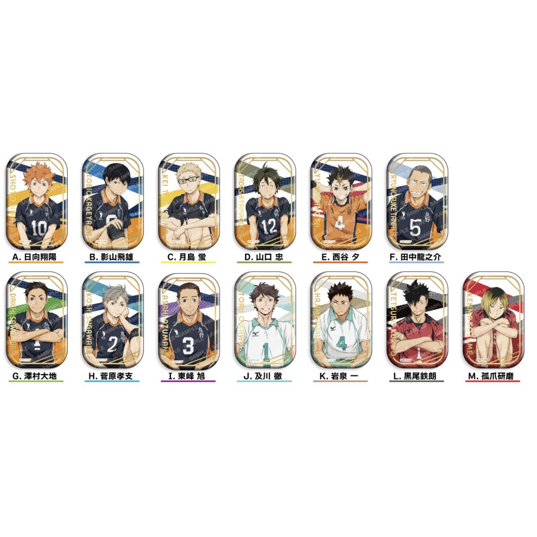 ハイキュー セブンネット 限定 スクエア缶バッジ おすわり 13種 コンプ
