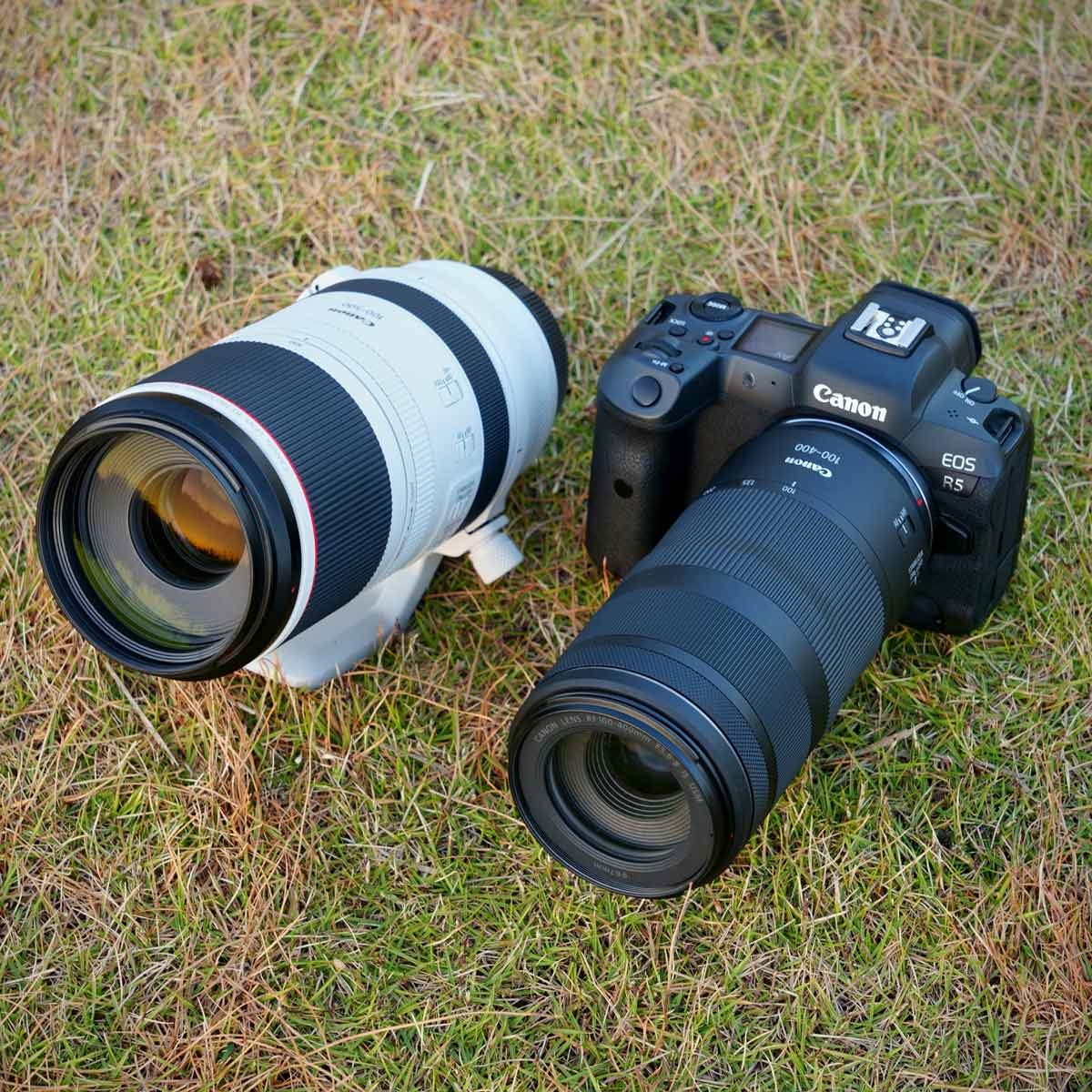 Lレンズvs.普及レンズ！ キヤノン「RFレンズ」の超望遠ズーム2本を徹底