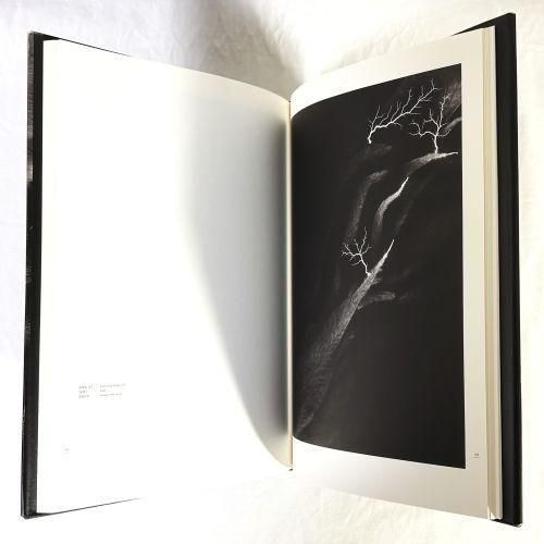 杉本博司 光の自然 Hiroshi Sugimoto Nature of light - 古本買取販売