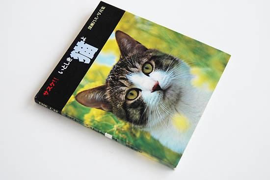 サスケ！！いとしき猫よ 深瀬昌久 写真集 Sasuke, Itoshiki Neko yo