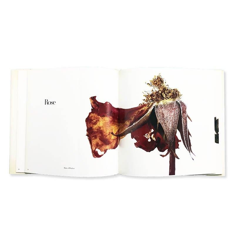 Irving Penn: FLOWERS First American Editionアーヴィング・ペン