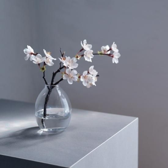 177473111.jpg?cmsp_timestamp=