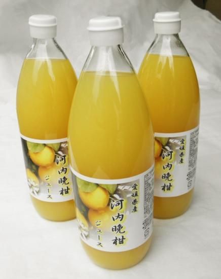 河内晩柑100％ジュース - koresawa-fruit