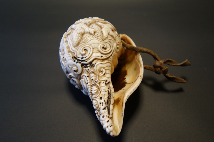 ほら貝・法螺貝・ホラガイ（シャンカ）大黒天 販売｜大阪 多羅堂