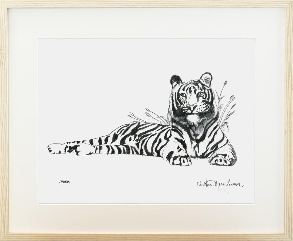 Tiger Sketch | クリスチャン・ラッセン | アート・オブ・ライフ 株式