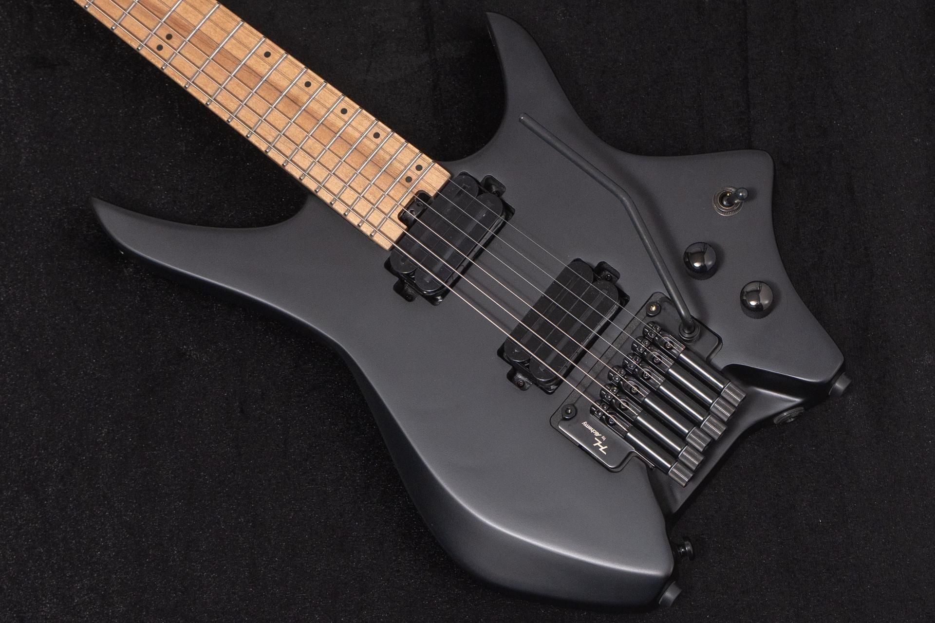 new】HEX Guitars / N500P Black - Guitar Shop TONIQ