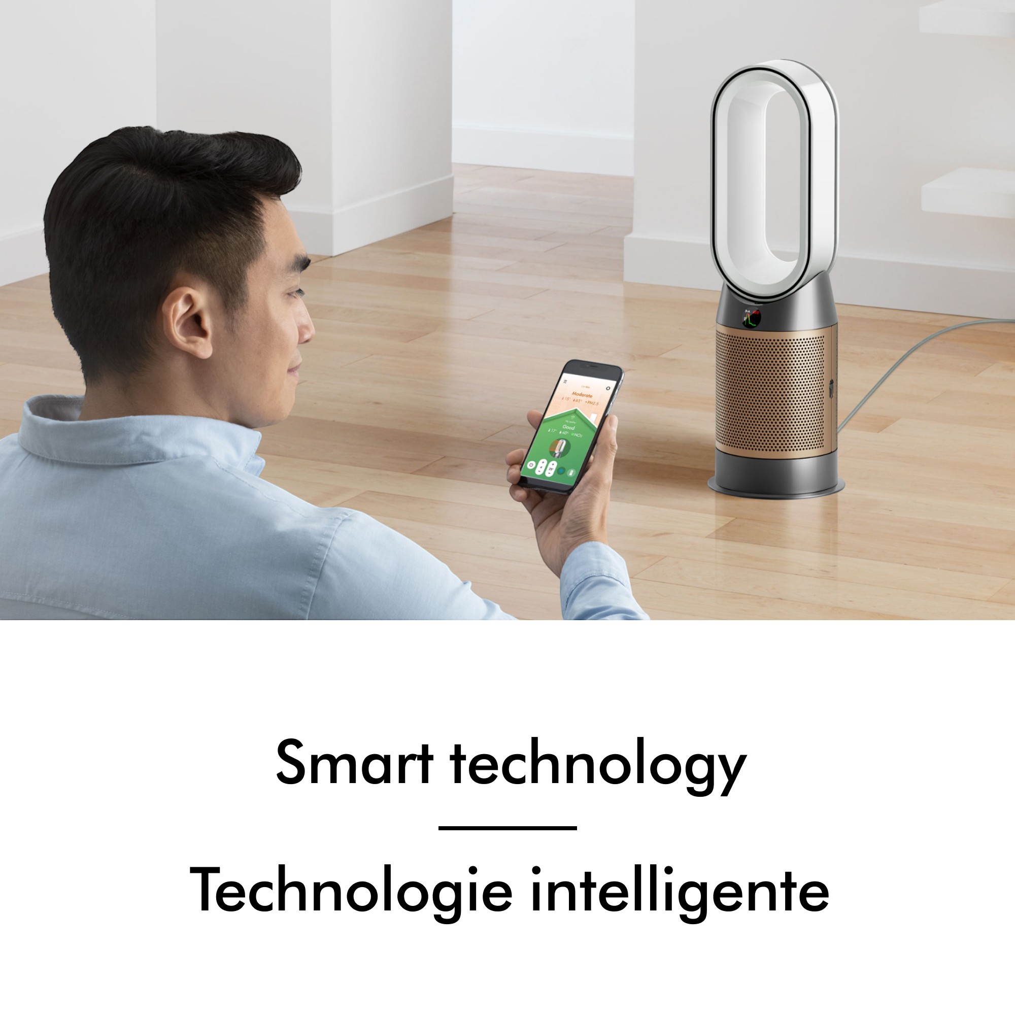 Dyson Purifier Hot+Cool HP2 De-NOx - TSC.ca