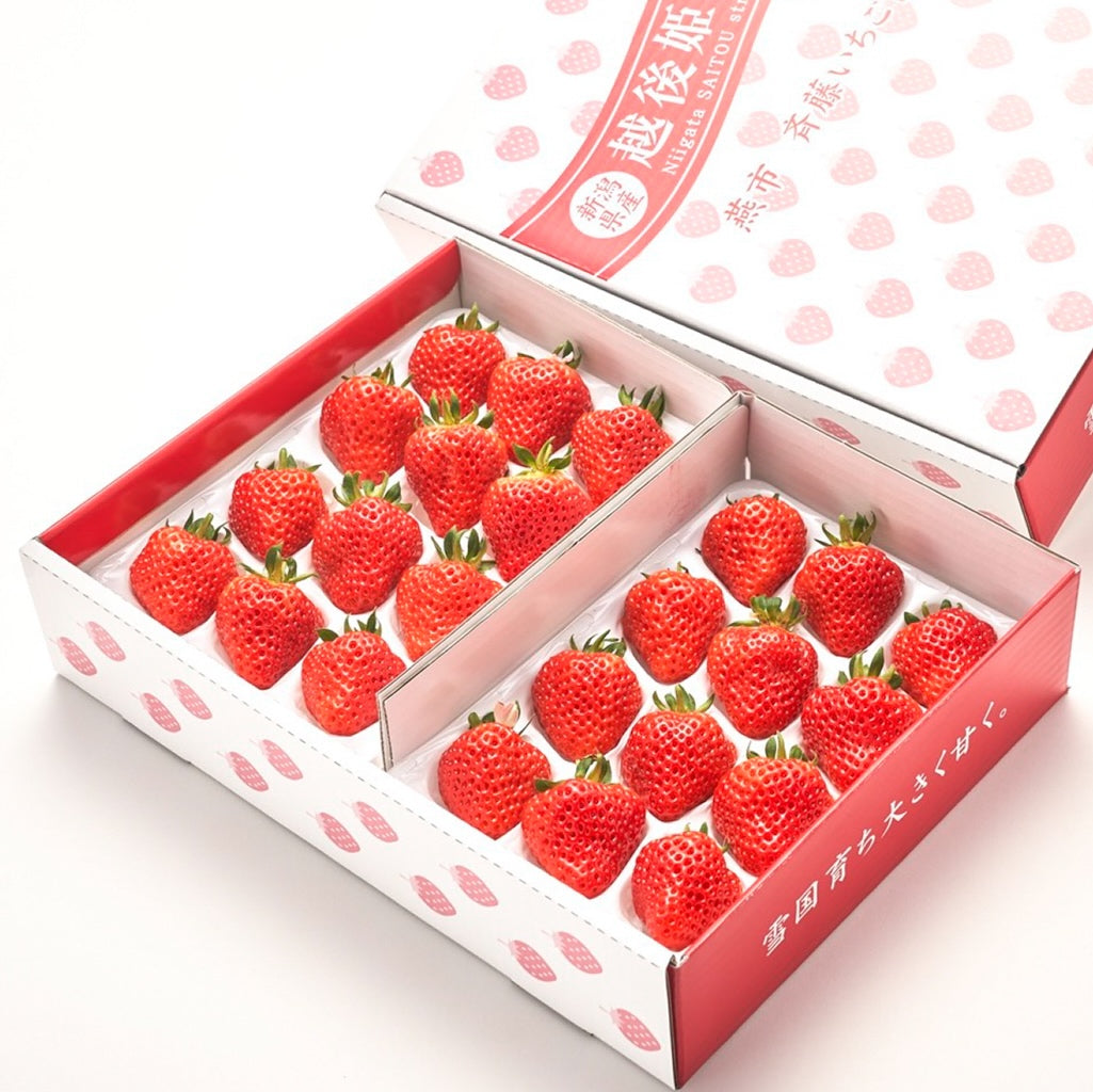 斉藤いちご園｜新潟県燕市 越後姫専門