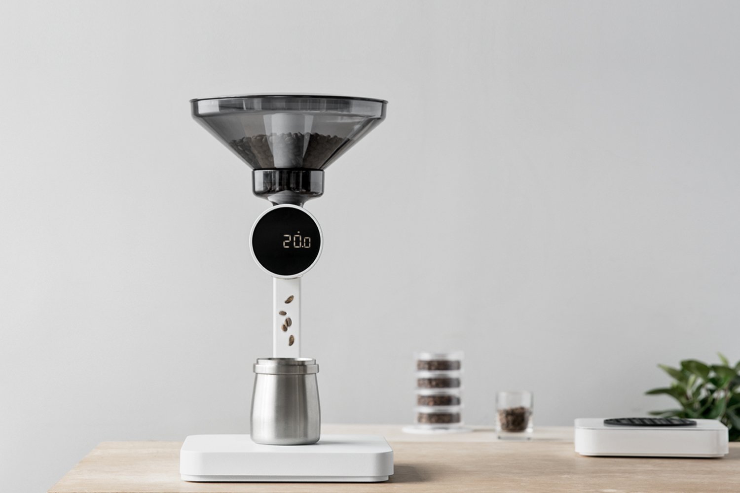 Orion – Acaia JP Web Store