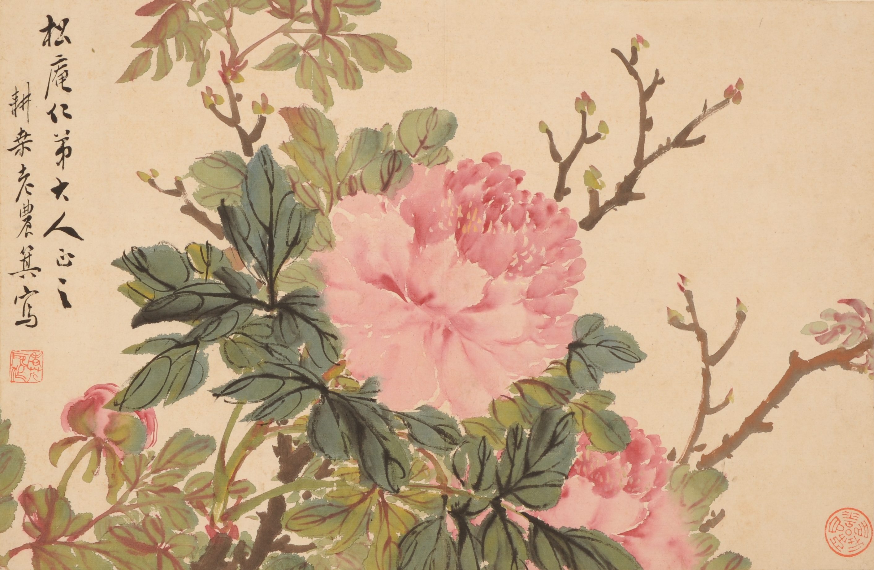 牡丹図斗方 - 観峰館