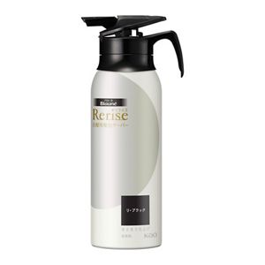 ブローネ リライズ 白髪用髪色サーバー リ・ブラック まとまり仕上げ