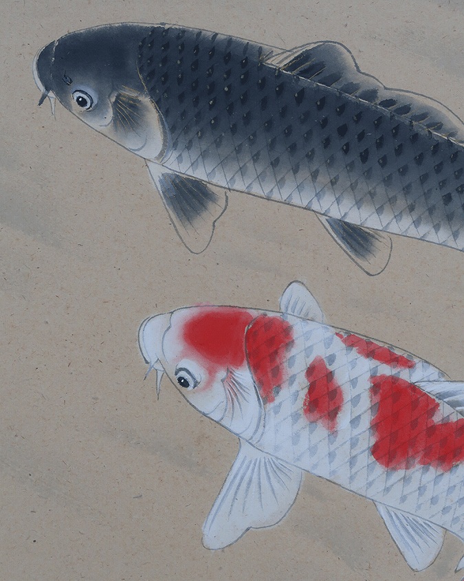 森島清泰 游鯉 | 掛軸(掛け軸)販売／表装ご依頼は掛軸いっぷく掛軸