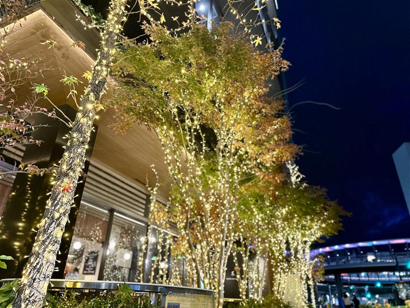 期間限定】四日市本社を彩る、冬のイルミネーション