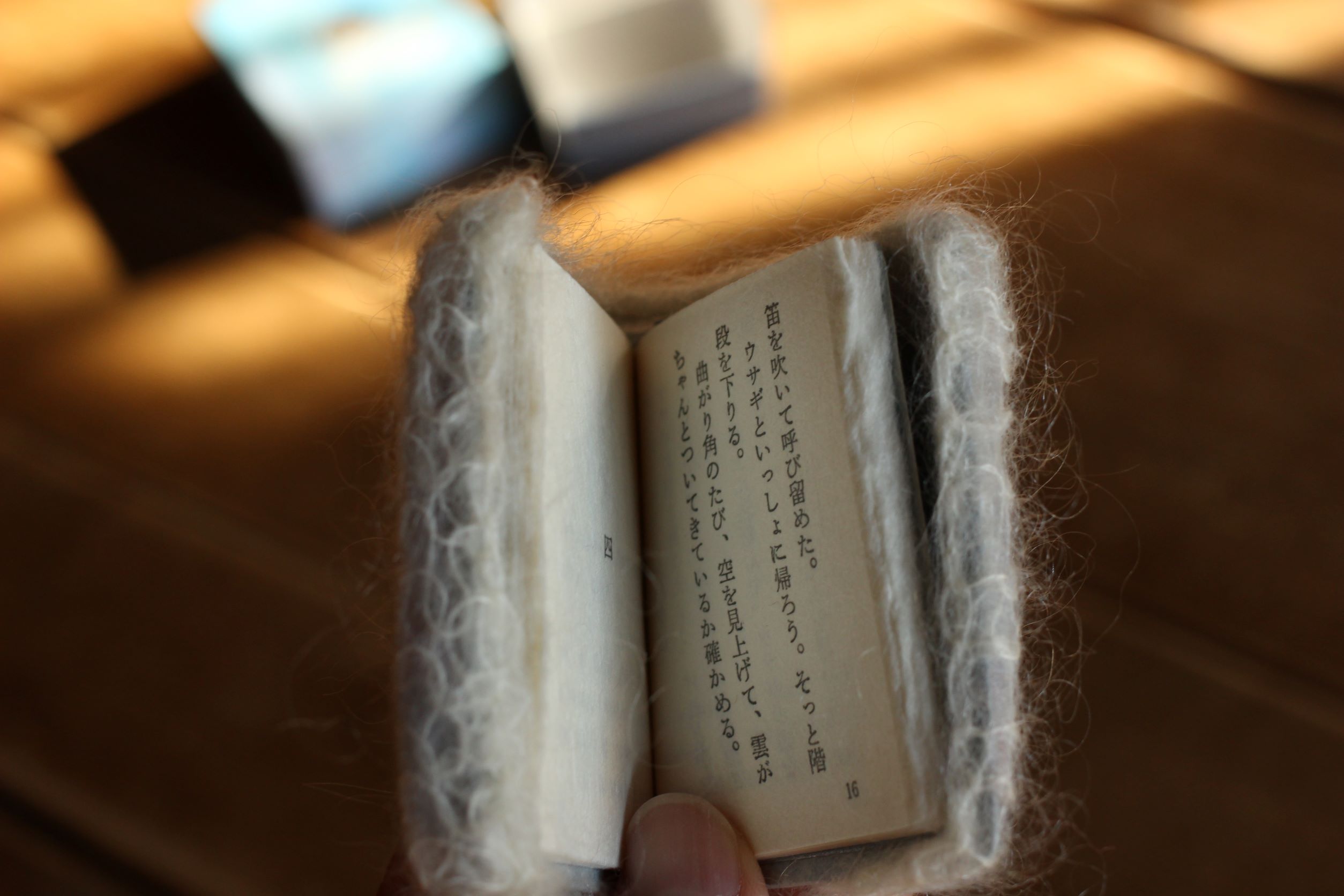 雲捕獲記録 Dancing on the Cloud」（赤井都の豆本）