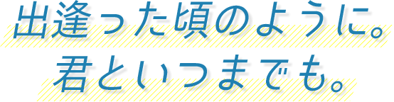 Lei04 - GPS＆レーダー探知機「霧島レイ」モデル