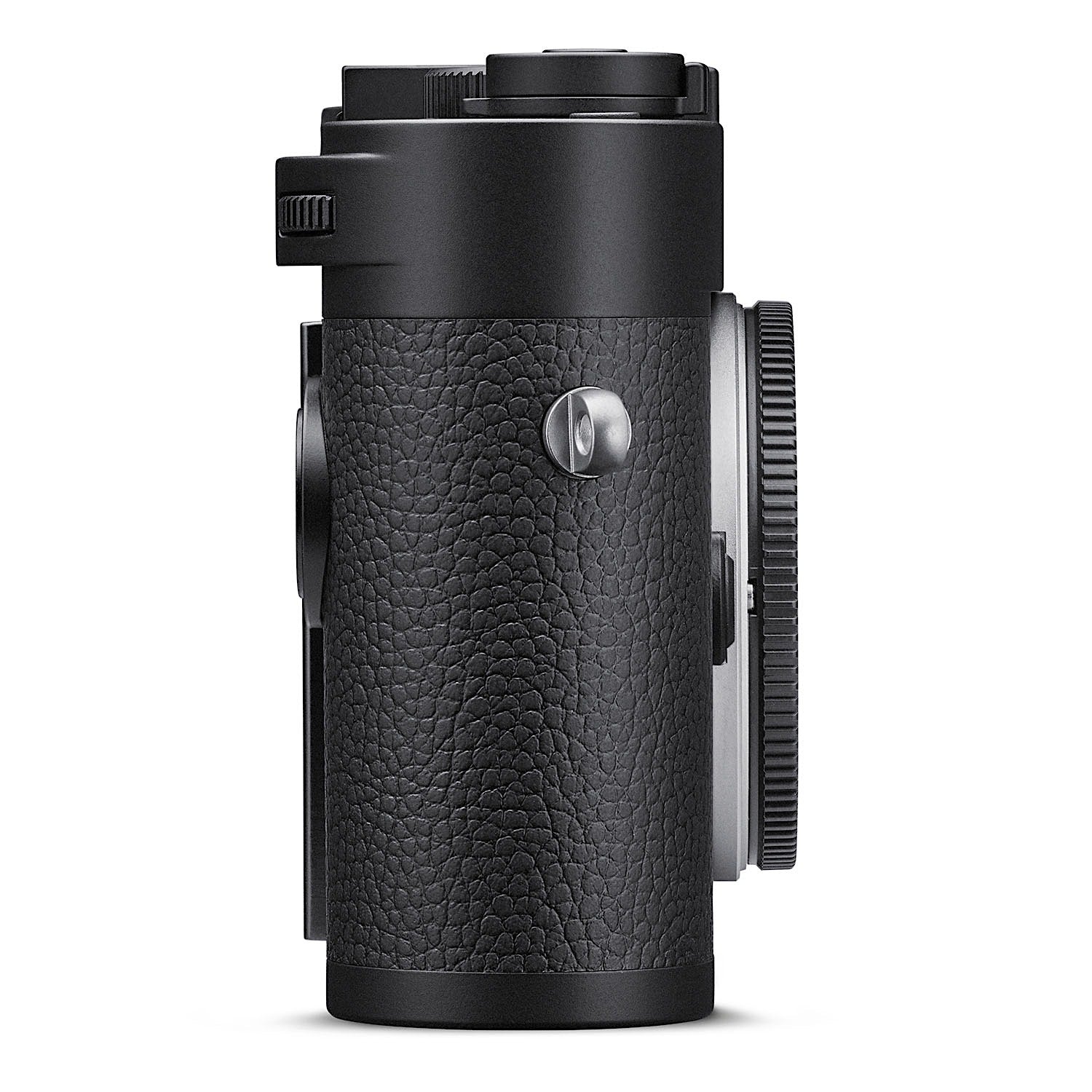 1398855-05.jpg?v=1705436424