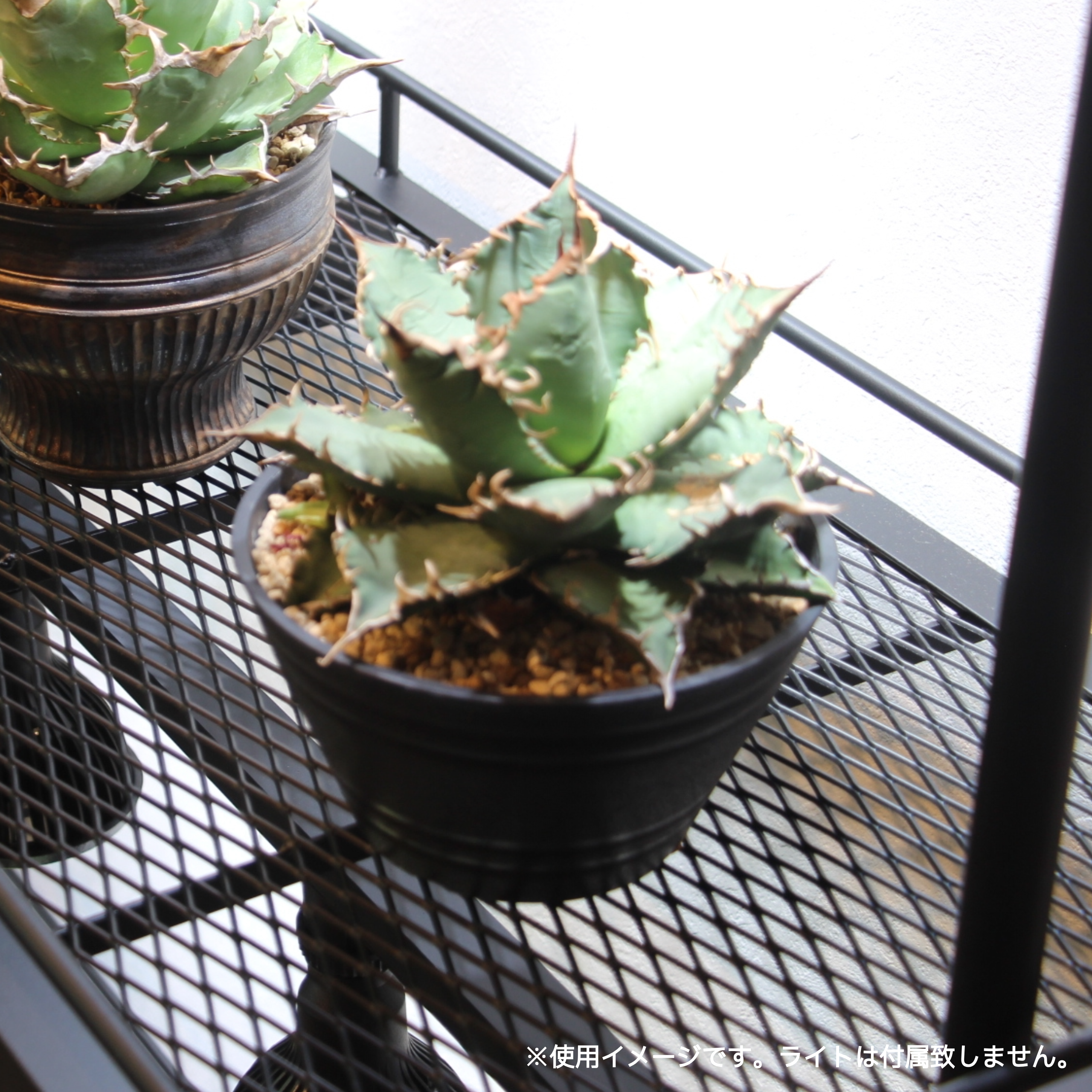 水受けトレー付き1段植物棚