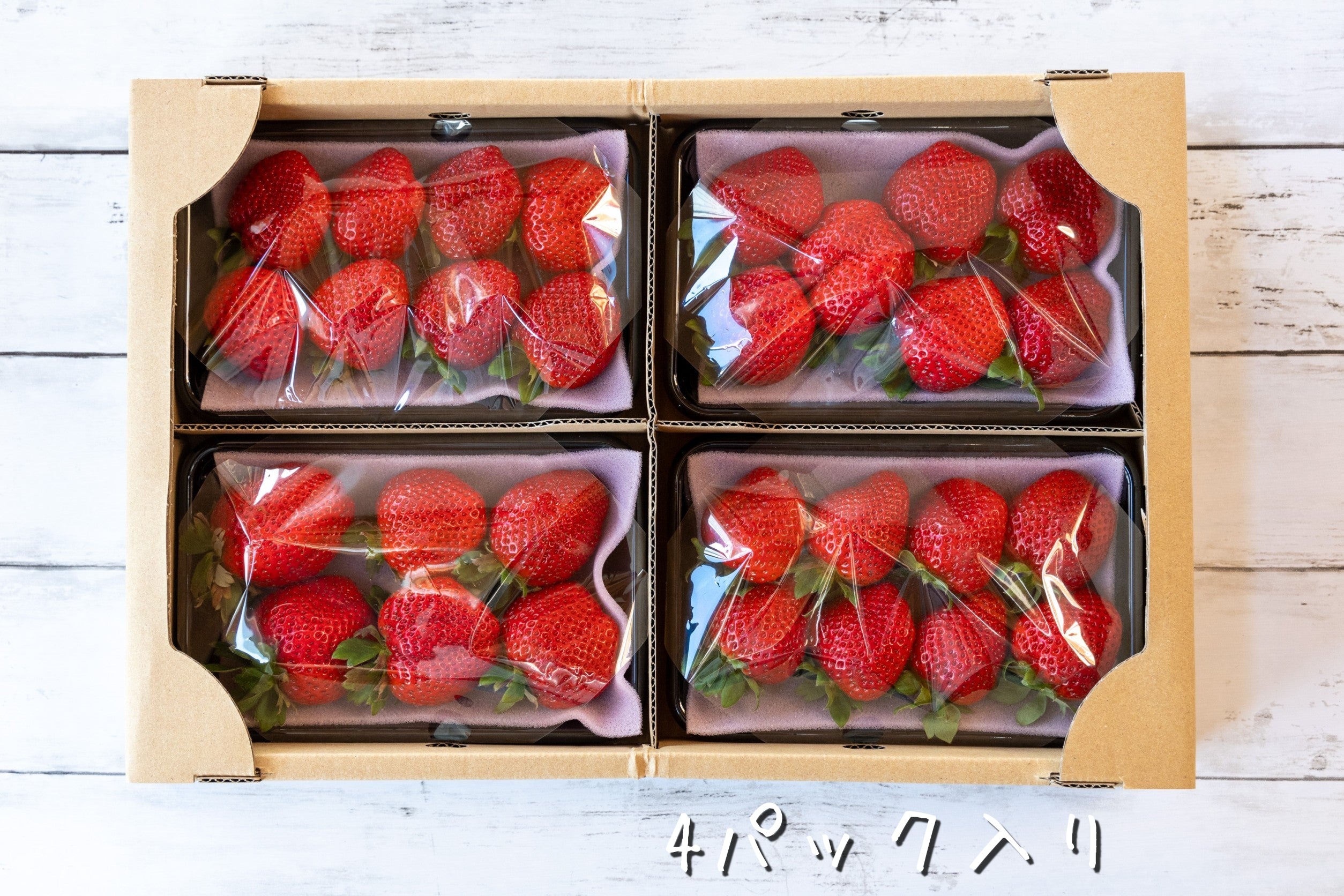 Sugimoto farmからのあま～い贈り物【大粒】さちのかいちご＿高知県