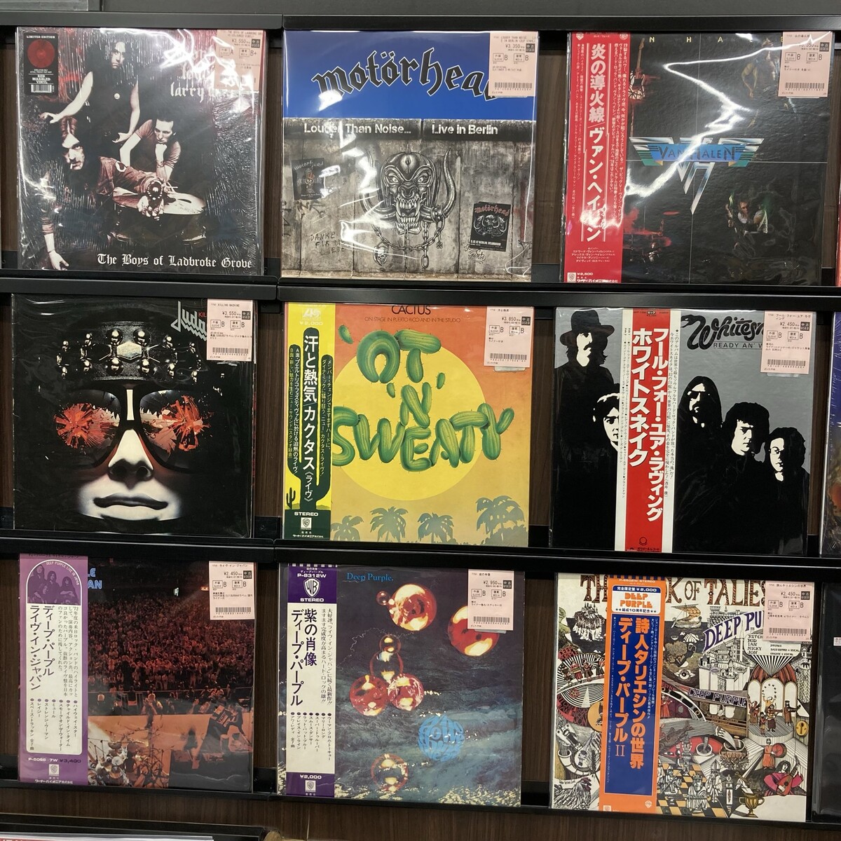 DEEP PURPLE, MICHAEL SCHENKER GROUP, LOUDNESSなど中古レコードが