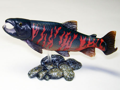 ユージン「原色淡水魚図鑑1 [改訂版] 」レビュー : 食玩トピックス