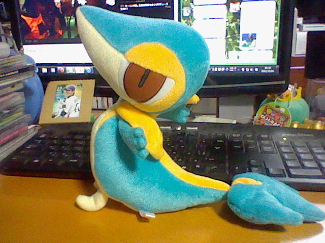 色違いのツタージャ・ポカブ・ミジュマルぬいぐるみが届きました