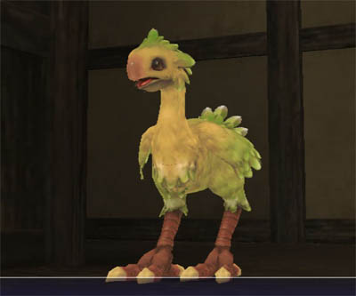ピヨピヨ ヒナチョコボ Baby Chocobo FINAL FANTASY XI : バルタン星人