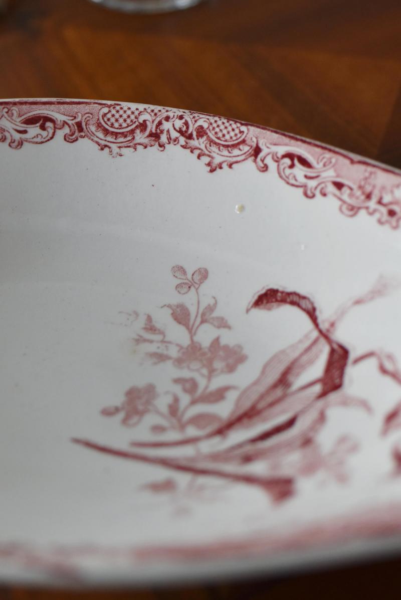 サルグミンヌ ラヴィエ Sarregueminies FONTAGE