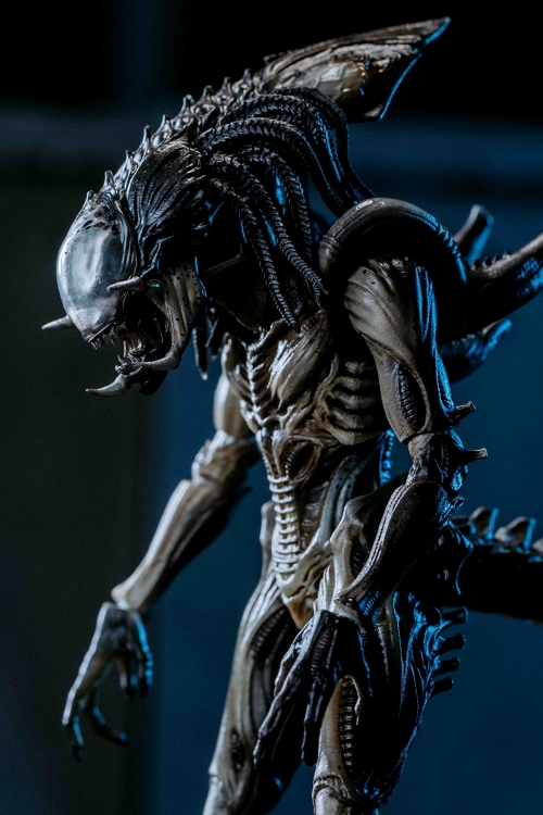 エクスクイジットミニシリーズ/ AVP2 エイリアンズ vs プレデター