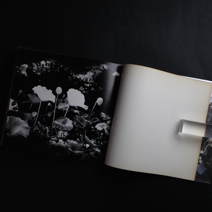 植物に（Singed） - 山村 雅昭 / Gasho Yamamura